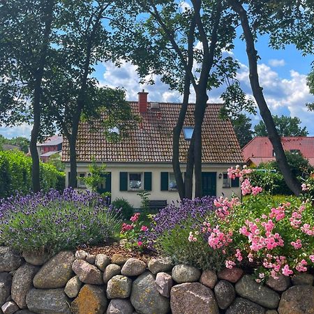 Ferienwohnung 1010 Mit Seeblick Ziemitz ภายนอก รูปภาพ