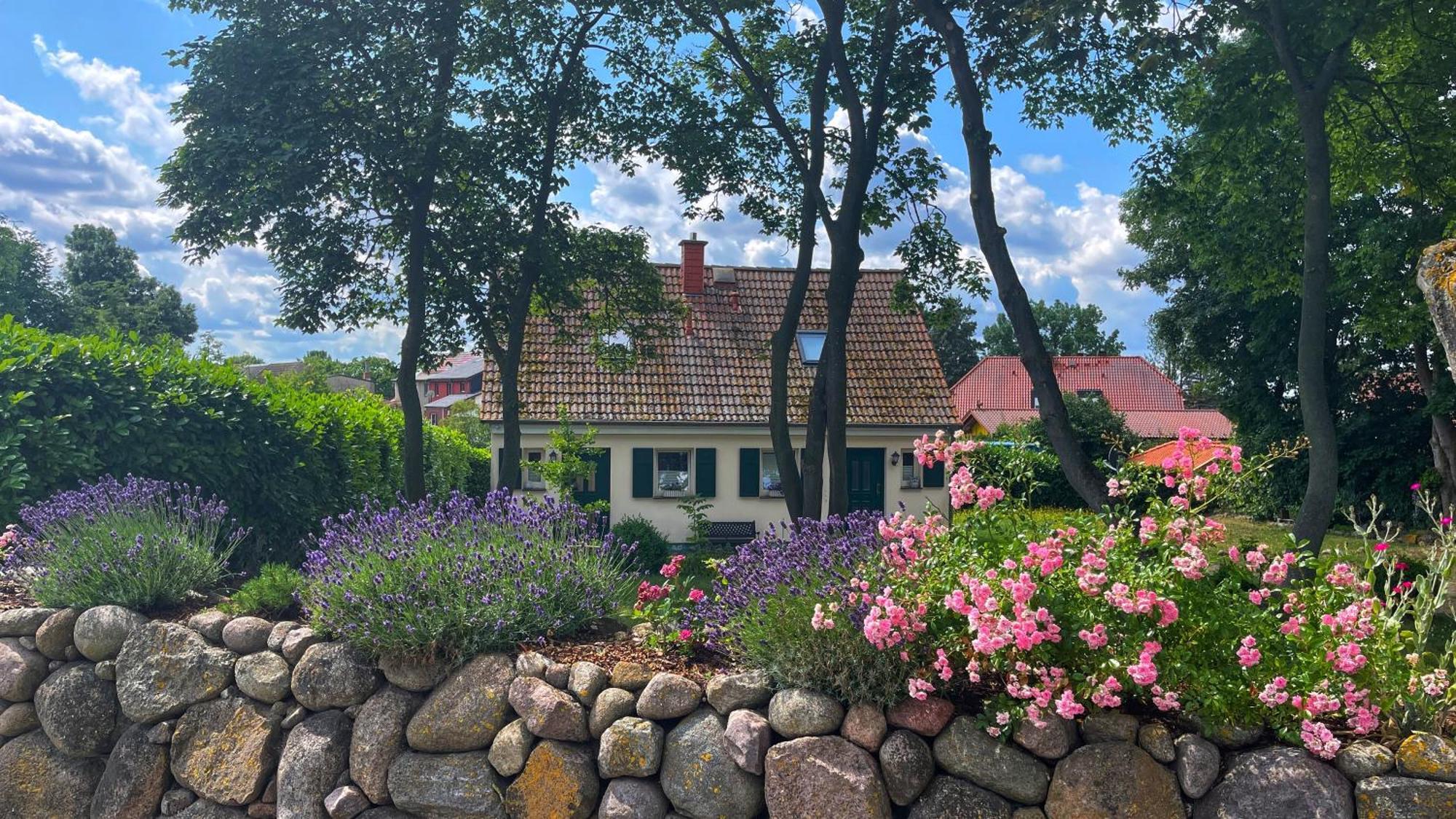 Ferienwohnung 1010 Mit Seeblick Ziemitz ภายนอก รูปภาพ